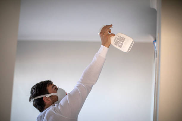 Best Commercial Mold Removal  in Gramercy, LA