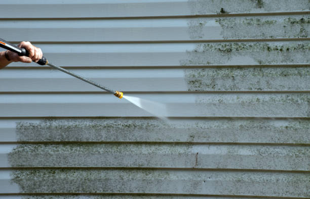 Best Mold Damage Repair  in Gramercy, LA