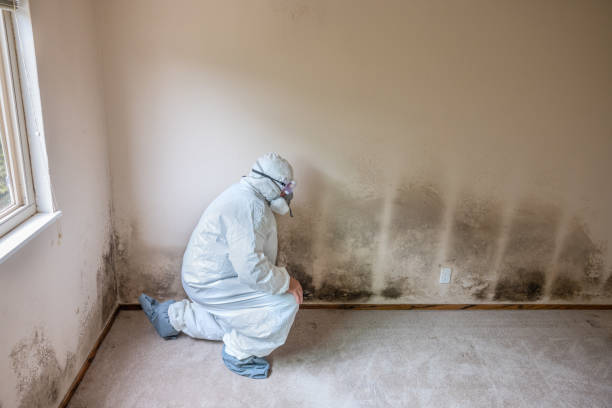 Best Crawl Space Mold Removal  in Gramercy, LA