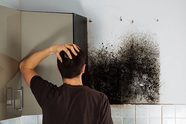Mold Testing and Removal in Gramercy, LA
