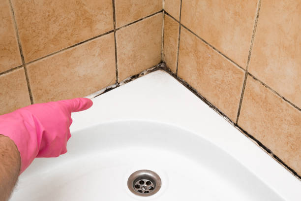 Best Emergency Mold Removal  in Gramercy, LA